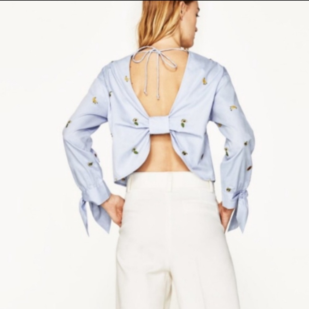 Zara Crop Embroidered Fruit Top HP